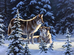 Зимние волки