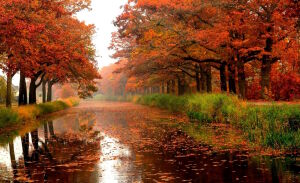 Багряная осень