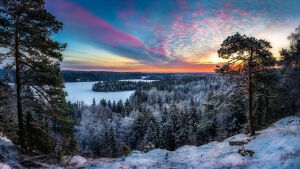 Сиреневые облачка