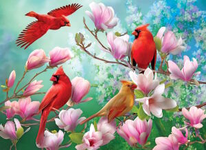 Красные кардиналы и цветы