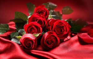 Красные розы на ткани