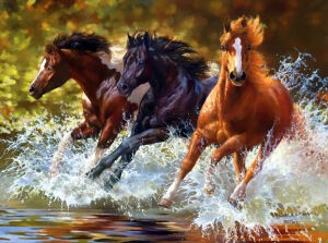 Лошадки в воде