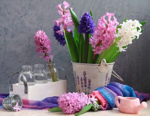 Букет из гиацинтов