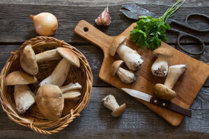 Готовим грибы