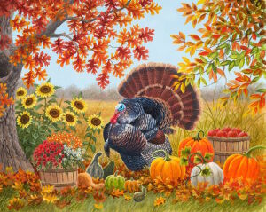 Индюк и тыквы