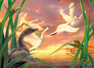 Гадкий утёнок и красивые лебеди