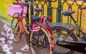 Велосипеды на мостике