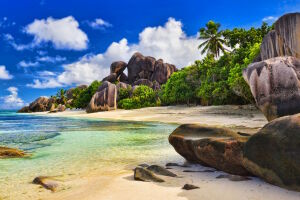 Тропическое море