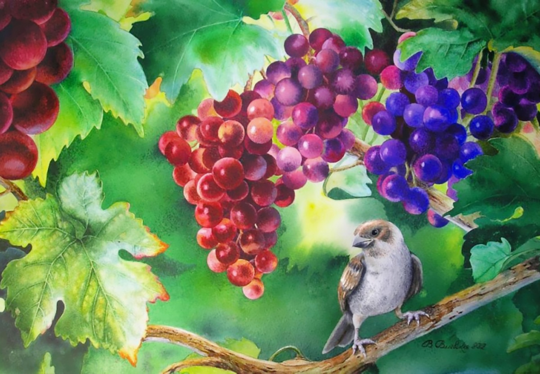 Воробей и виноград