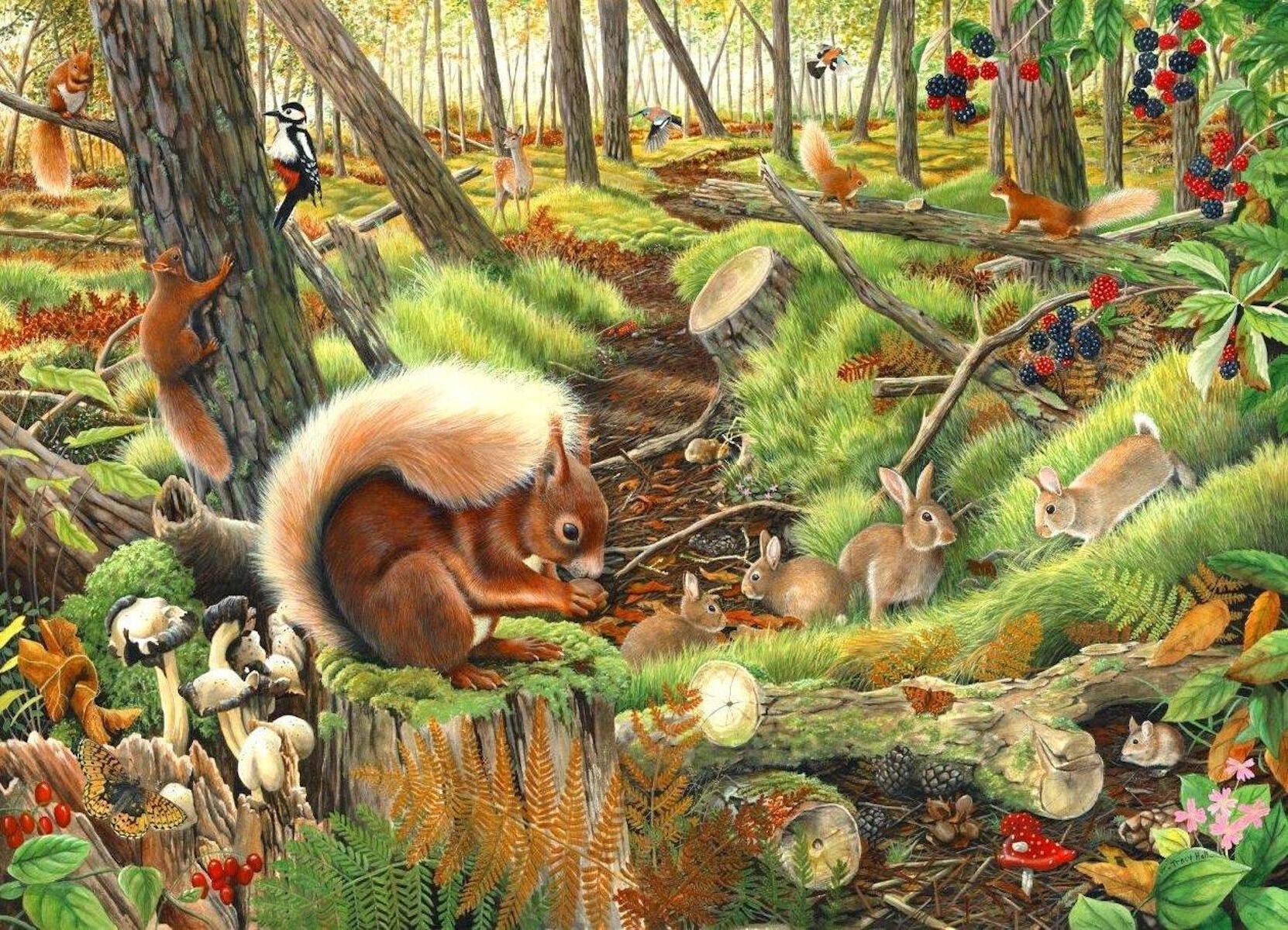 Белки собирают грибы. Лесные жители. Лес с животными для детей. Сказочные жители леса. Звери в лесу для детей.