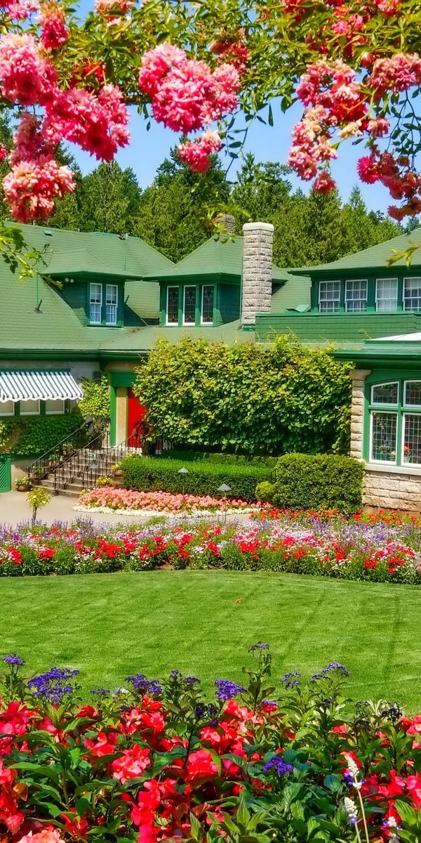 Зеленый дом в цветах
