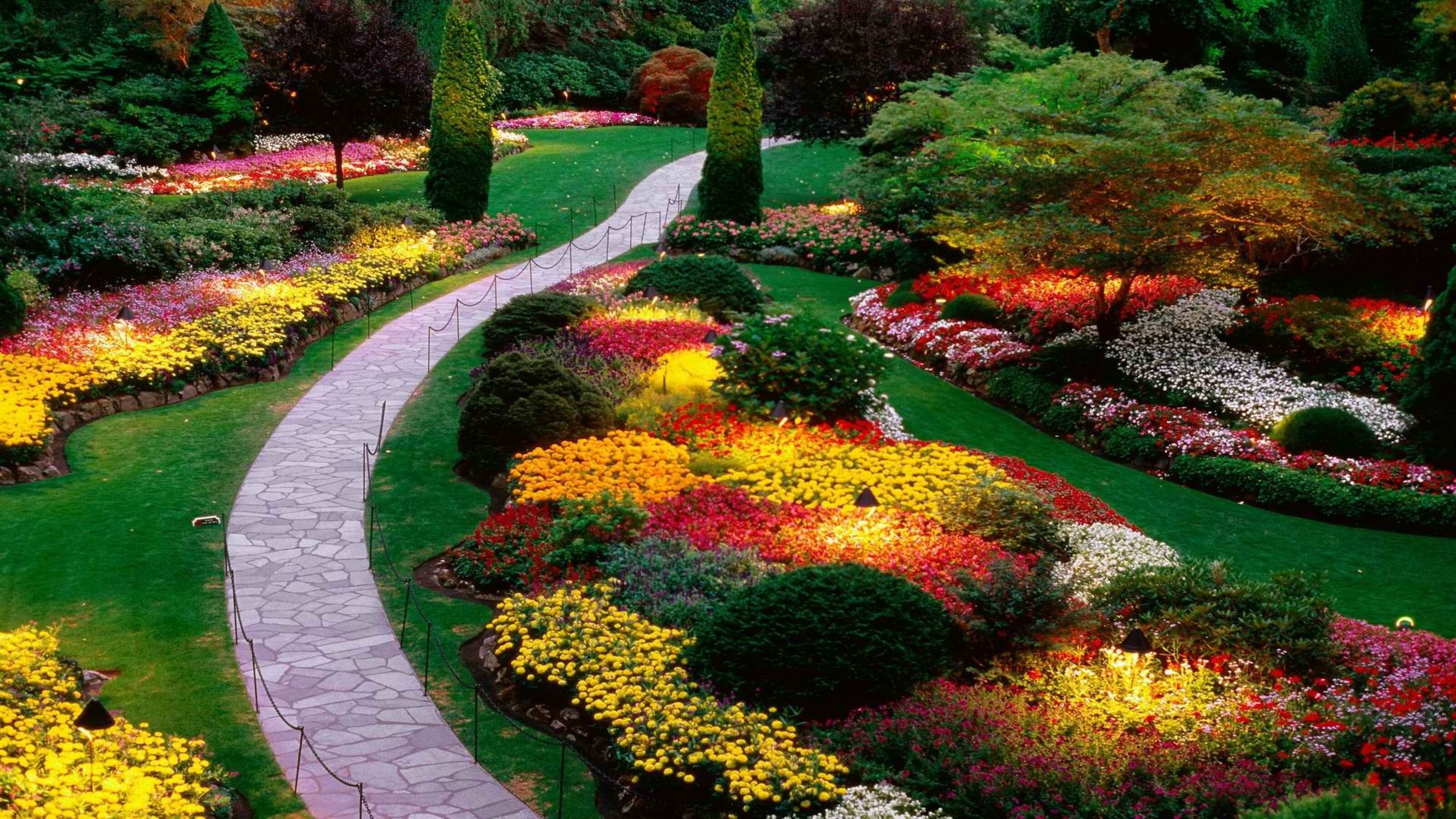 Цветущий парк