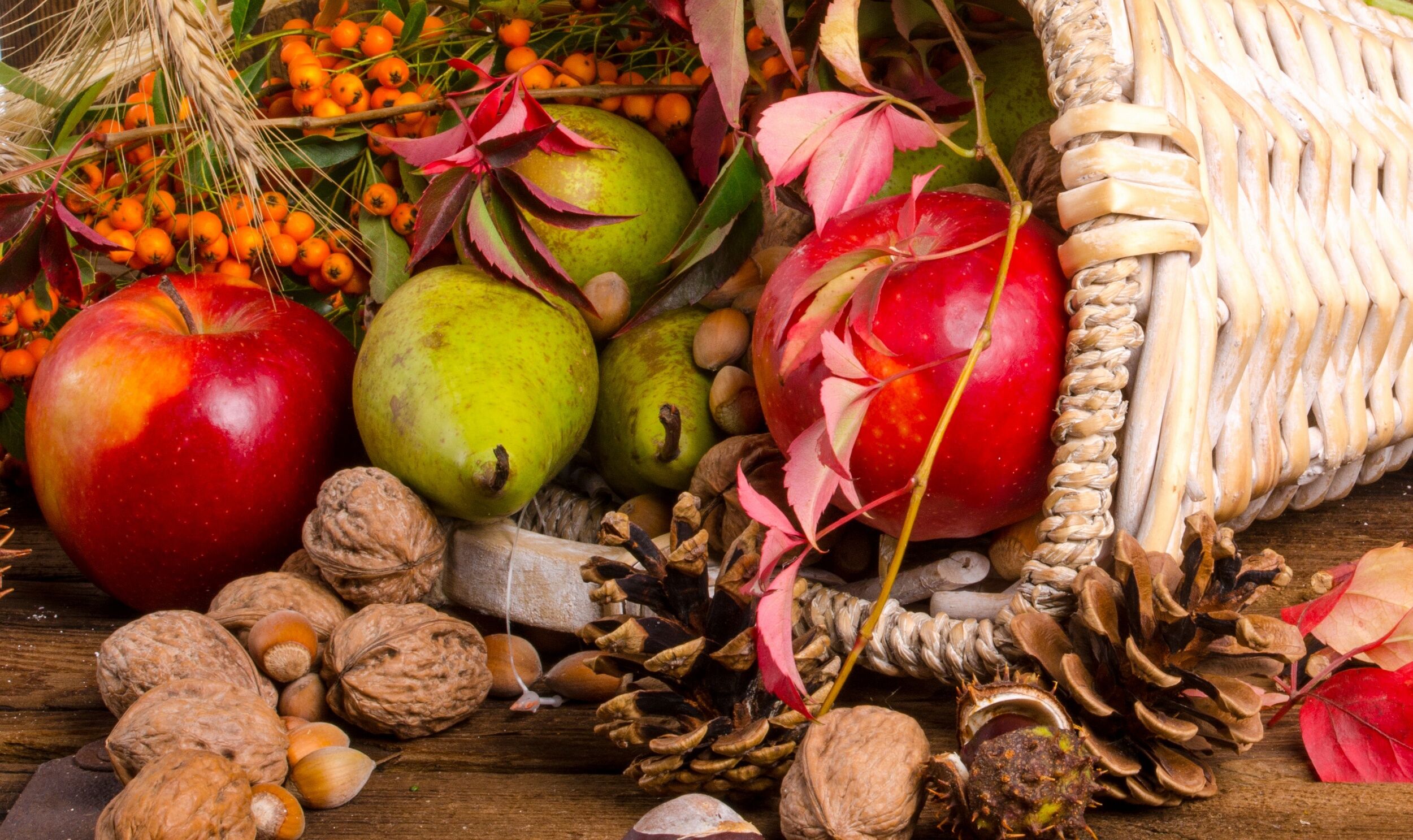 Овощи ноябрь. Осенние плоды. Дары осени. Осень фрукты. Осенние овощи и фрукты.