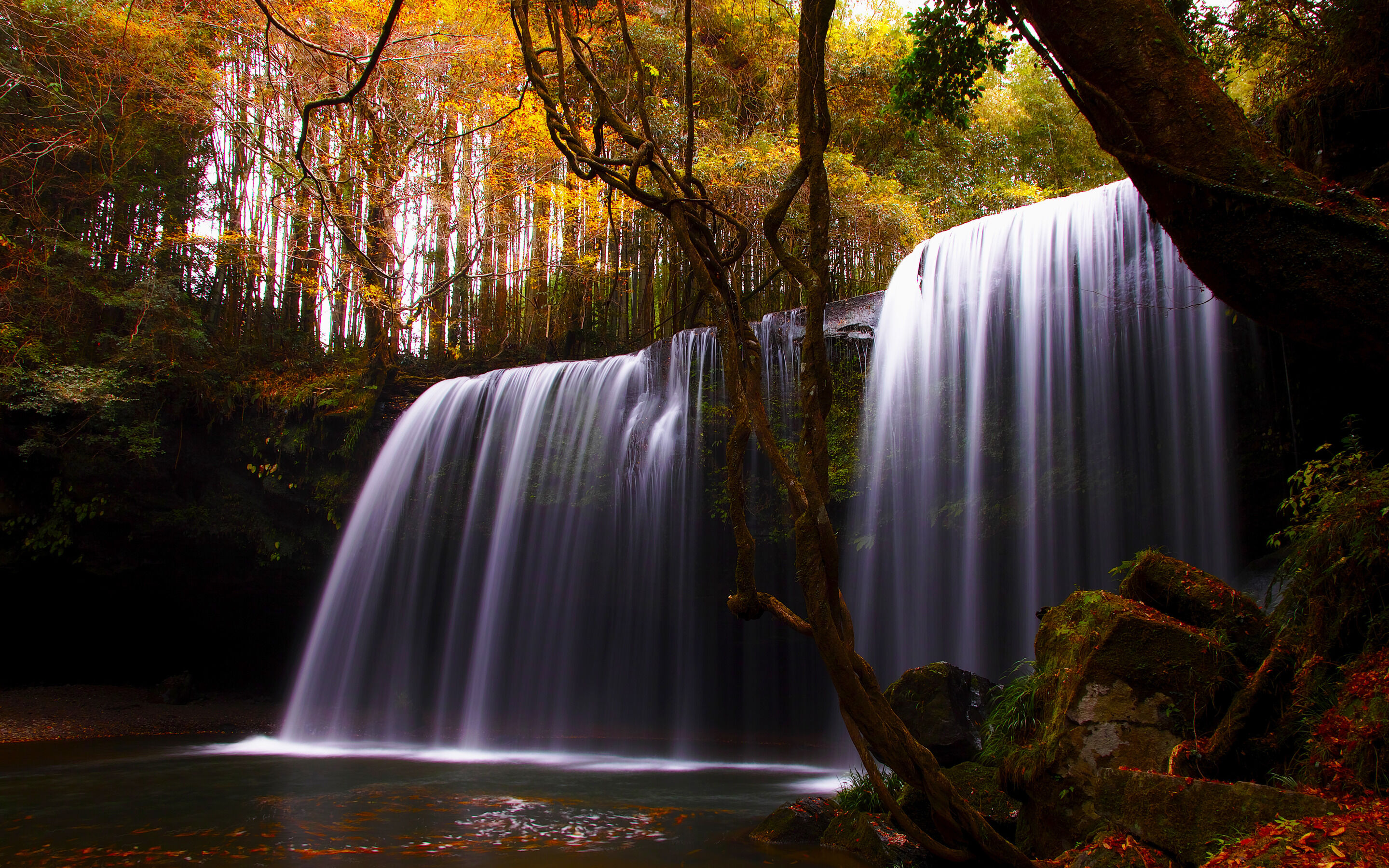 Установить галерею на рабочий стол. Красивая природа. Природа водопад. Красивые водопады. Красивые картинки.