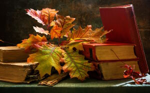 Книги и осень