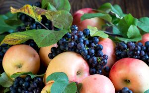 Яблоки и темный виноград