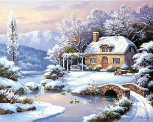 Домик зимней деревушки