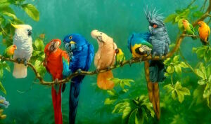 Разные попугаи на ветке