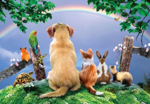 Друзья смотрят на радугу