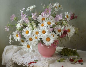 Ромашки и виноград