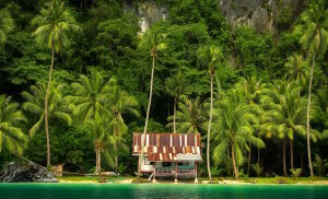 Домик и тропический лес