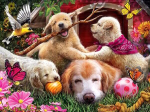 Щенки шалуны