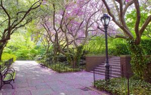 Генеральский сад