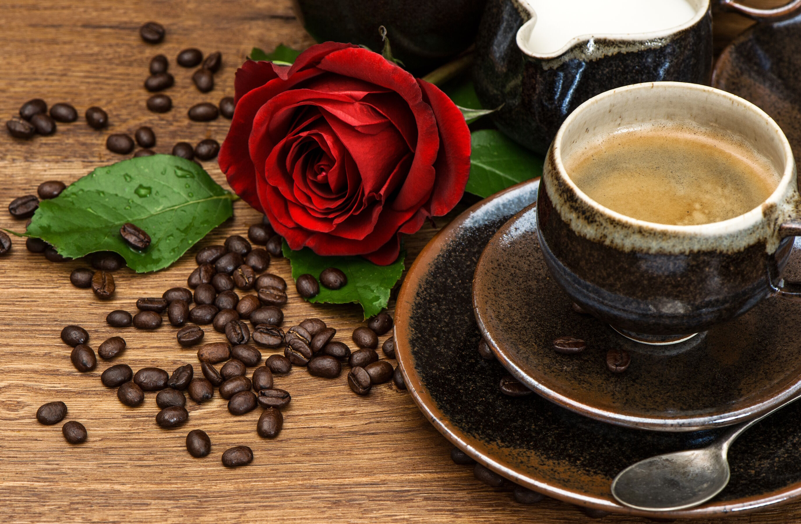 Кофе и пышная роза