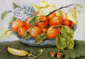 Мандарины и горох