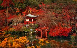 Киото осенью