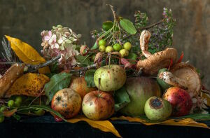 Грибы и яблоки