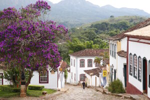 Бразильский городок