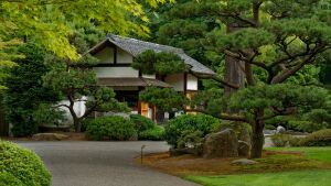 Красивые маленький домик