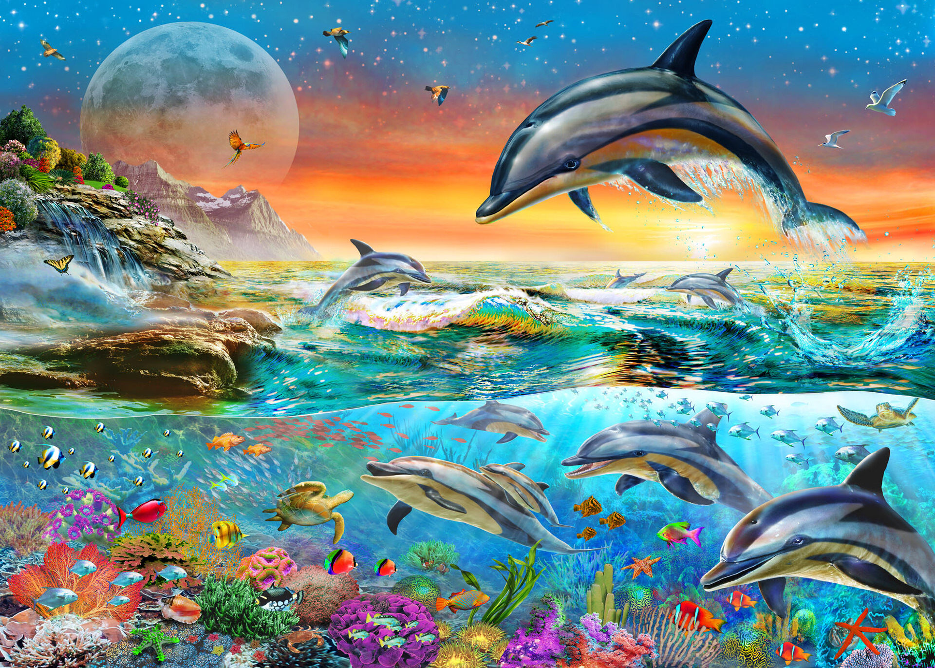 Дельфины океана
