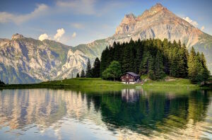 Лес и горы у озера