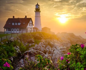 Цветы и маяк