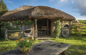 Новая Зеландия