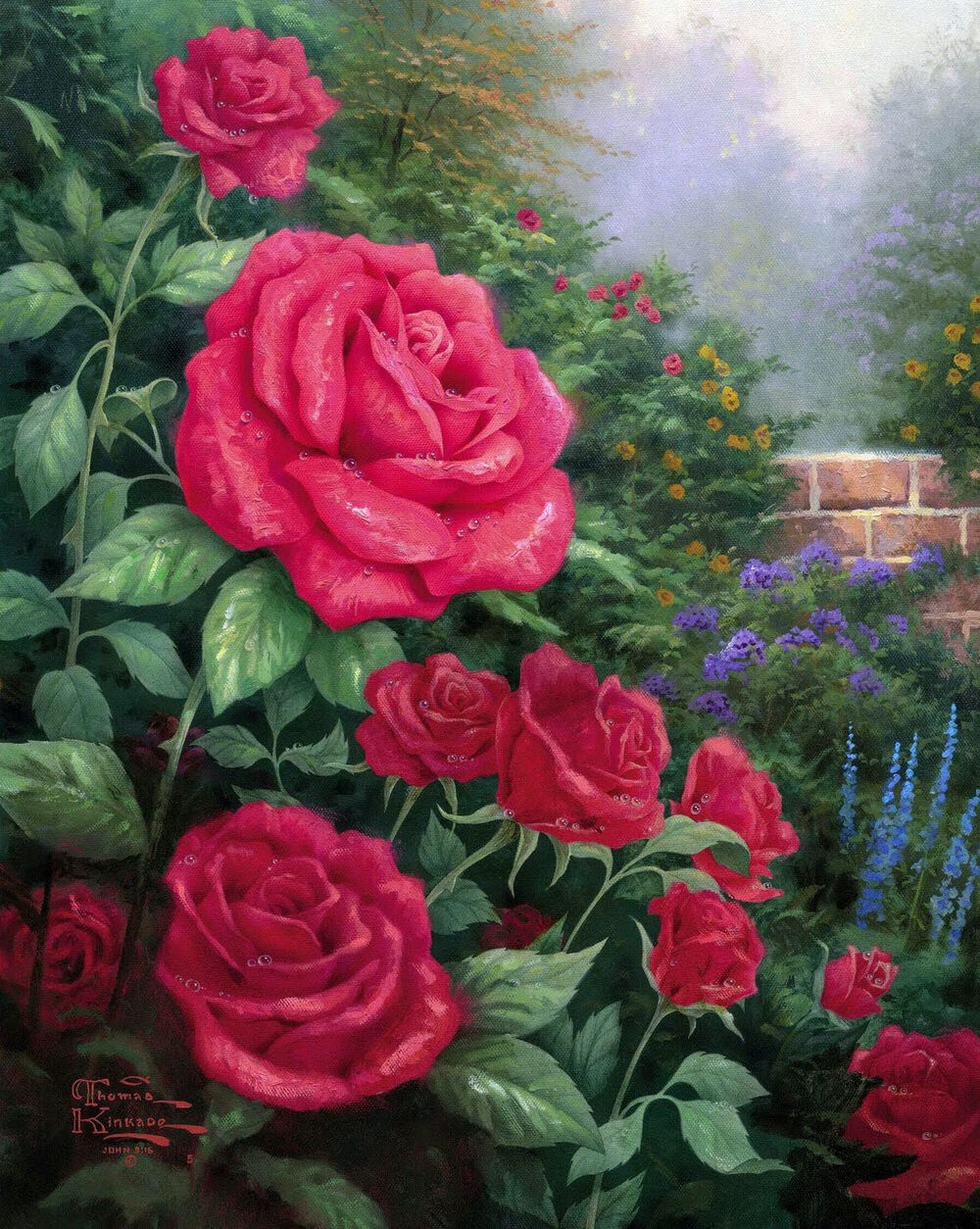Красные розы в саду
