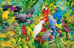 Разноцветные птицы