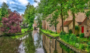 Зеленый Брюгге