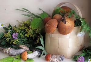 Грибное лукошко