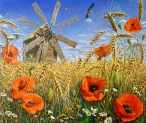 Маки и мельница