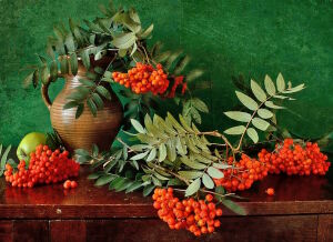 Рябина и кувшин