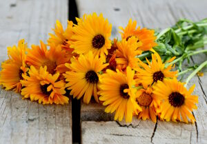 Календулы букет