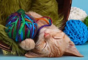 Игрался и уснул