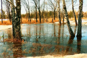 Тающий апрель