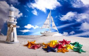 Цветные ракушки