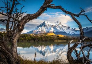 Коряга и гора