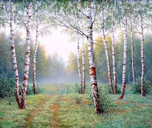 Березы и дорога