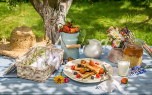 Пикник с ягодами